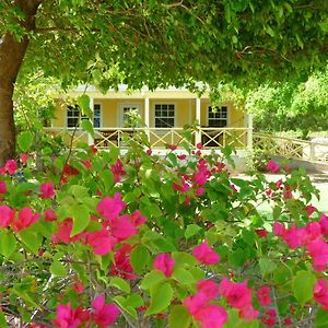 Superior One-Bedroom Cottage